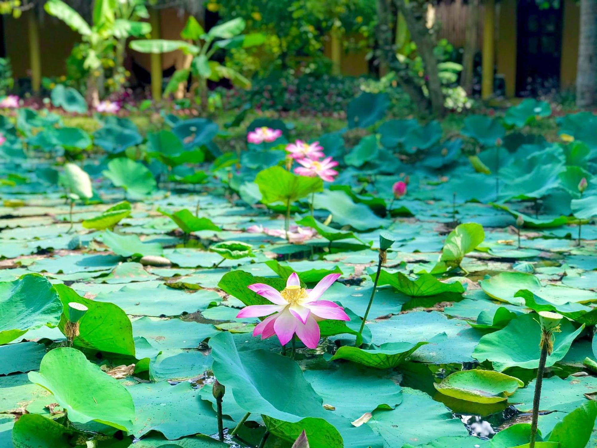 Mango Home Riverside Ben Tre Esterno foto